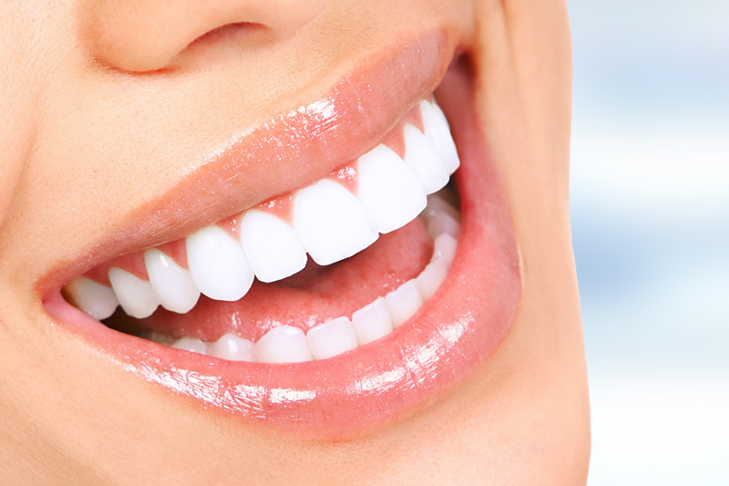 American Family Dentistry  Special Offer